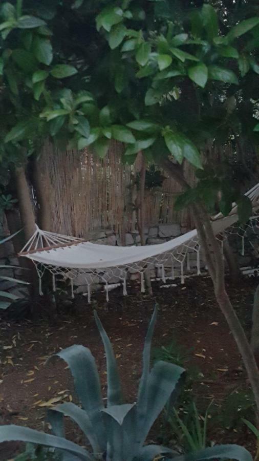 Apartment Lila Garden Bol Bagian luar foto