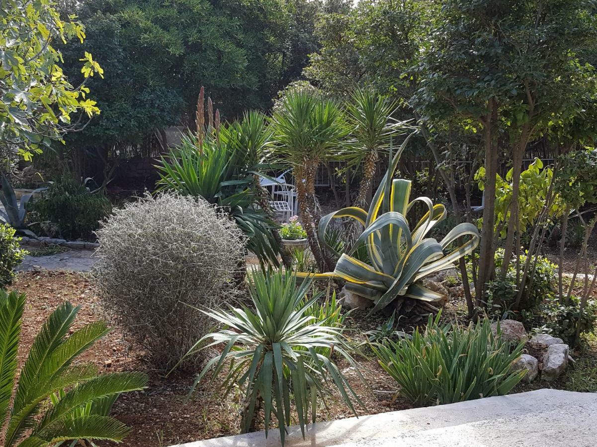 Apartment Lila Garden Bol Bagian luar foto